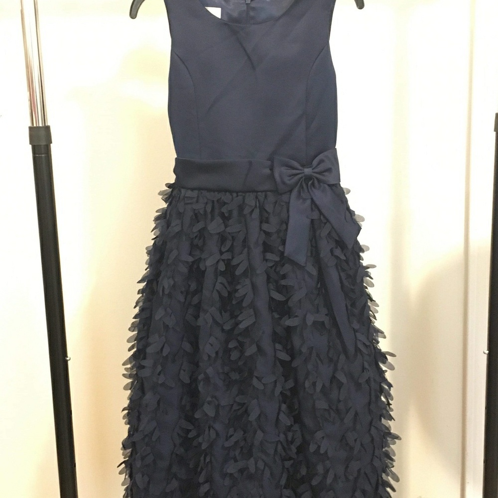 🌼 STELLAR AMERICAN PRINCESS DRESS